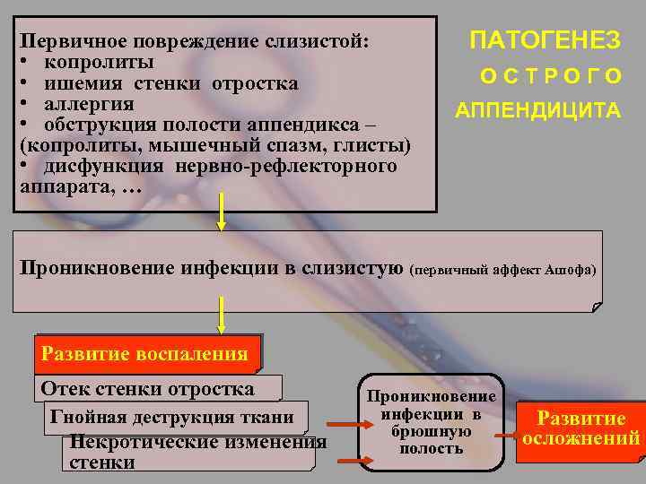Первичное повреждение слизистой: • копролиты • ишемия стенки отростка • аллергия • обструкция полости