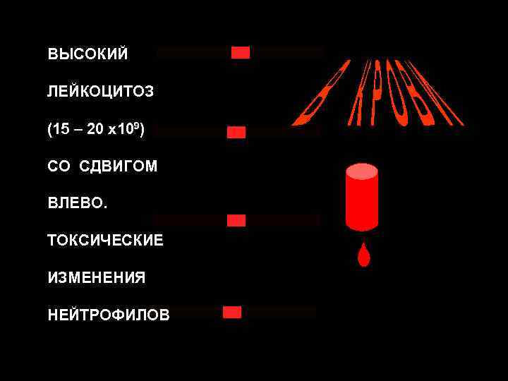 ВЫСОКИЙ ЛЕЙКОЦИТОЗ (15 – 20 х109) СО СДВИГОМ ВЛЕВО. ТОКСИЧЕСКИЕ ИЗМЕНЕНИЯ НЕЙТРОФИЛОВ 