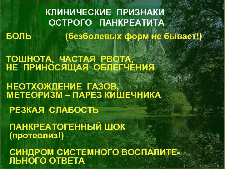 КЛИНИЧЕСКИЕ ПРИЗНАКИ ОСТРОГО ПАНКРЕАТИТА БОЛЬ (безболевых форм не бывает!) ТОШНОТА, ЧАСТАЯ РВОТА, НЕ ПРИНОСЯЩАЯ