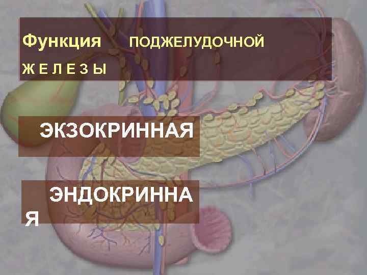 Панкреатит факультетская хирургия презентация