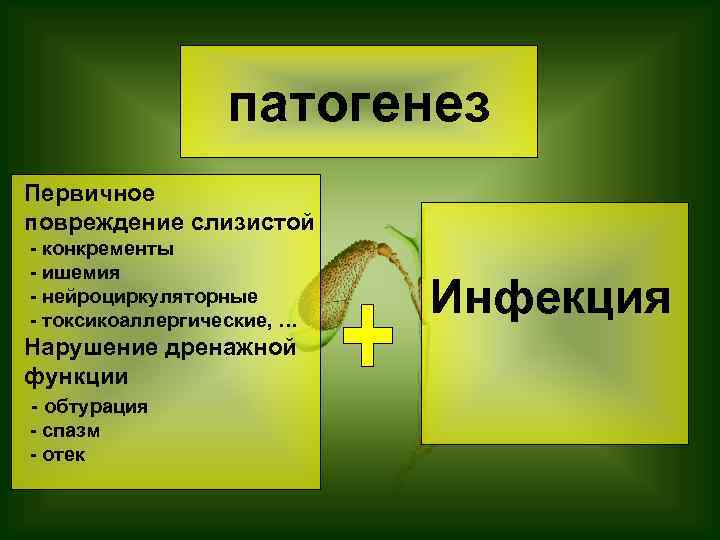 патогенез Первичное повреждение слизистой - конкременты - ишемия - нейроциркуляторные - токсикоаллергические, … Нарушение