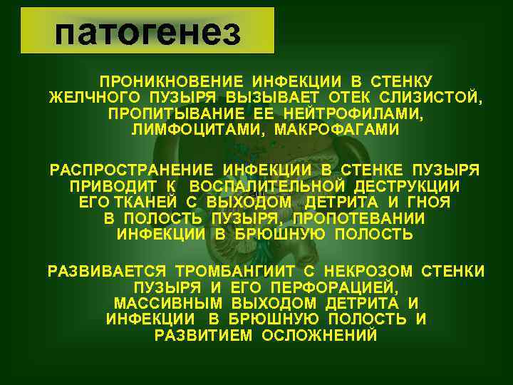патогенез ПРОНИКНОВЕНИЕ ИНФЕКЦИИ В СТЕНКУ ЖЕЛЧНОГО ПУЗЫРЯ ВЫЗЫВАЕТ ОТЕК СЛИЗИСТОЙ, ПРОПИТЫВАНИЕ ЕЕ НЕЙТРОФИЛАМИ, ЛИМФОЦИТАМИ,