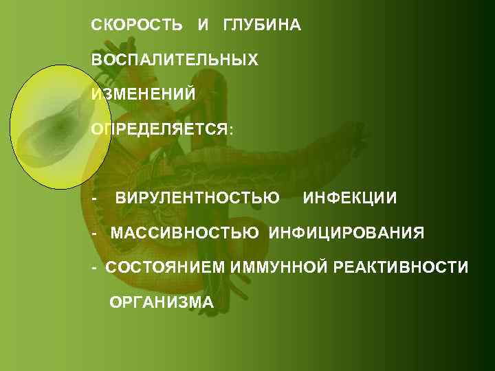 СКОРОСТЬ И ГЛУБИНА ВОСПАЛИТЕЛЬНЫХ ИЗМЕНЕНИЙ ОПРЕДЕЛЯЕТСЯ: - ВИРУЛЕНТНОСТЬЮ ИНФЕКЦИИ - МАССИВНОСТЬЮ ИНФИЦИРОВАНИЯ - СОСТОЯНИЕМ