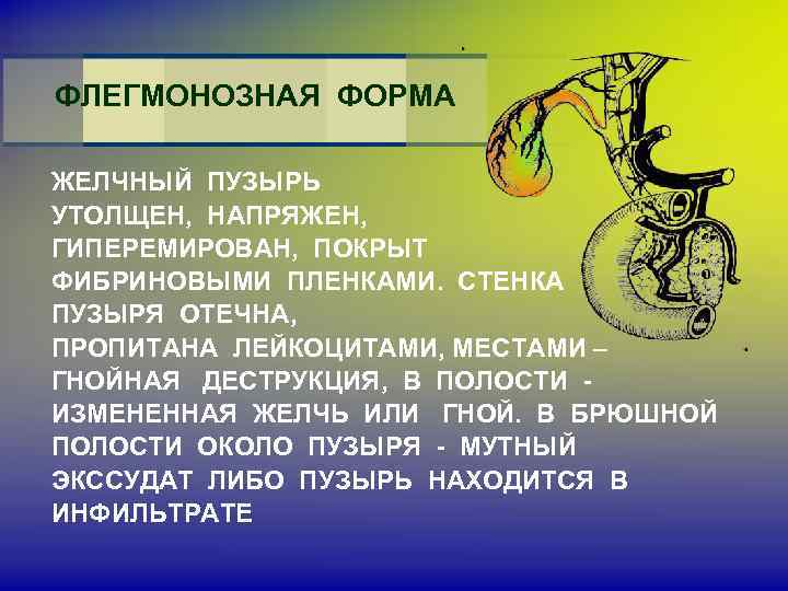 ФЛЕГМОНОЗНАЯ ФОРМА ЖЕЛЧНЫЙ ПУЗЫРЬ УТОЛЩЕН, НАПРЯЖЕН, ГИПЕРЕМИРОВАН, ПОКРЫТ ФИБРИНОВЫМИ ПЛЕНКАМИ. СТЕНКА ПУЗЫРЯ ОТЕЧНА, ПРОПИТАНА