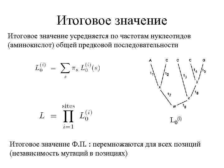 Итоговое значение усредняется по частотам нуклеотидов (аминокислот) общей предковой последовательности L 0(i) Итоговое значение