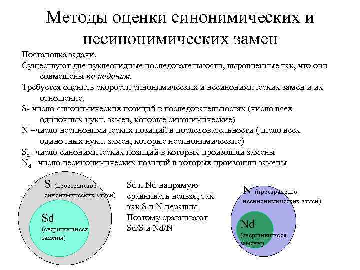 Методы оценки синонимических и несинонимических замен Постановка задачи. Существуют две нуклеотидные последовательности, выровненные так,