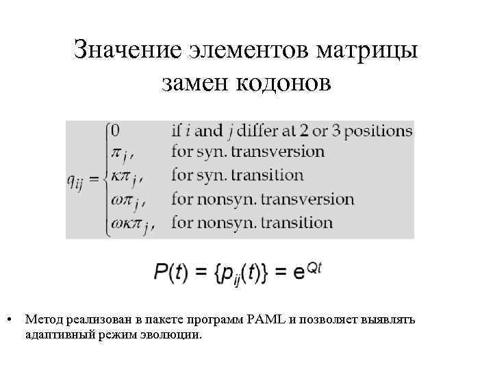Значение элементов матрицы замен кодонов • Метод реализован в пакете программ PAML и позволяет