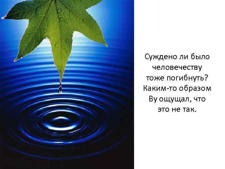 Суждено ли было человечеству тоже погибнуть? Каким-то образом Ву ощущал, что это не так.