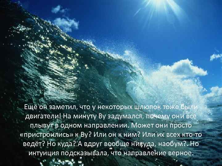 Ещё он заметил, что у некоторых шлюпок тоже были двигатели! На минуту Ву задумался,