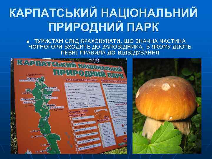 КАРПАТСЬКИЙ НАЦІОНАЛЬНИЙ ПРИРОДНИЙ ПАРК ТУРИСТАМ СЛІД ВРАХОВУВАТИ, ЩО ЗНАЧНА ЧАСТИНА ЧОРНОГОРИ ВХОДИТЬ ДО ЗАПОВІДНИКА,