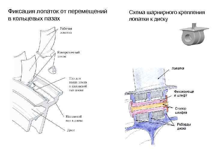 Фиксация лопаток от перемещений в кольцевых пазах Схема шарнирного крепления лопатки к диску 
