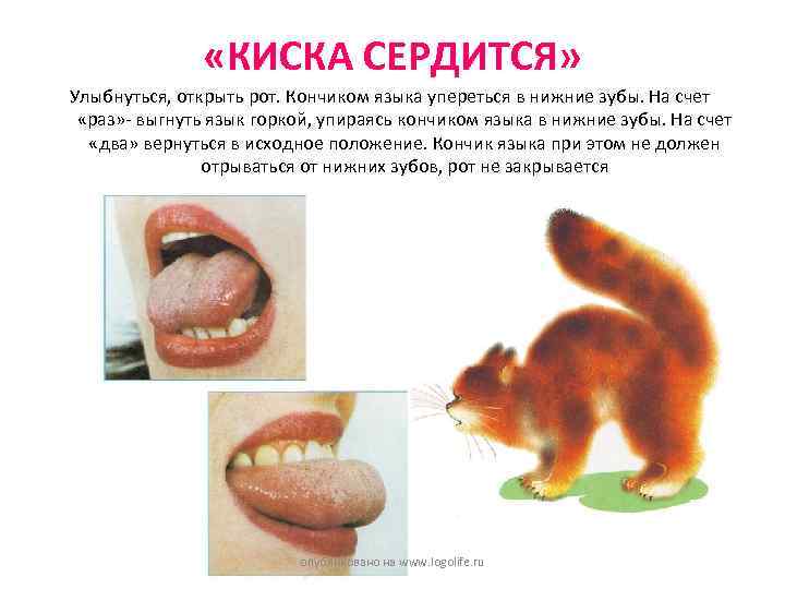  «КИСКА СЕРДИТСЯ» Улыбнуться, открыть рот. Кончиком языка упереться в нижние зубы. На счет