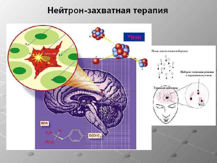 Нейтронная терапия презентация