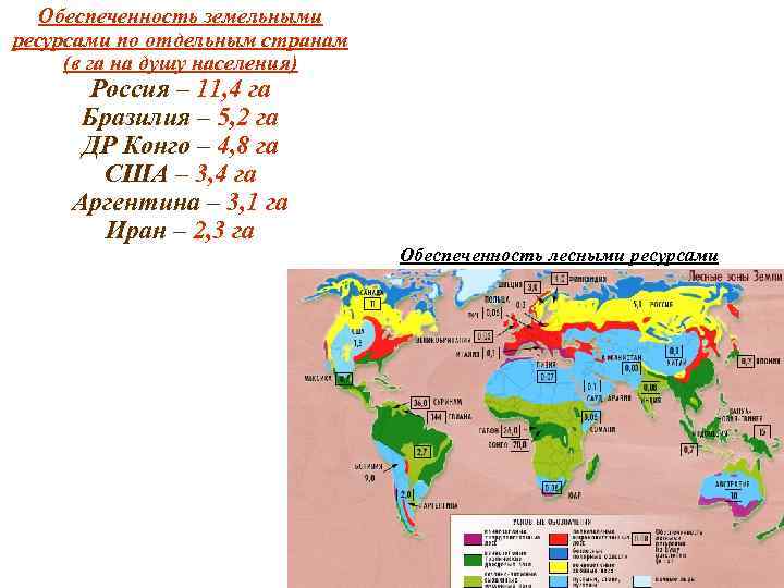 Обеспеченность земельными ресурсами по отдельным странам (в га на душу населения) Россия – 11,