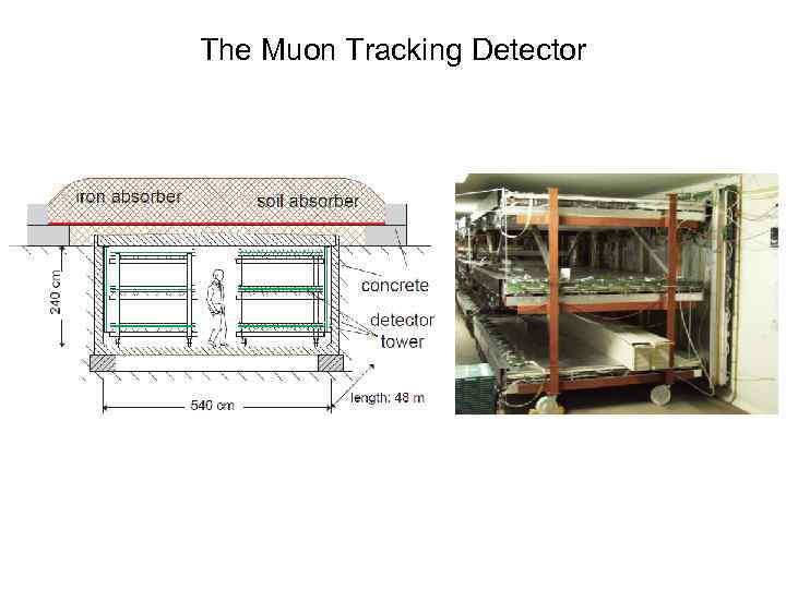 The Muon Tracking Detector 
