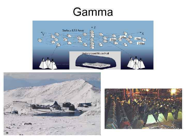 Gamma 