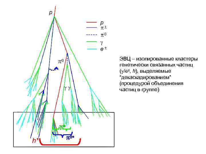 ЭВЦ – изолированные кластеры генетически связанных частиц ( /e , h), выделяемые “декаскадированием” (процедурой