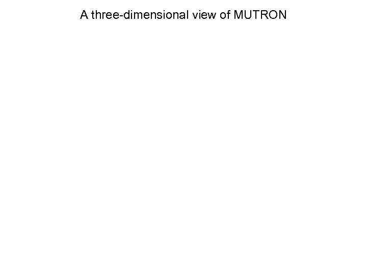 A three-dimensional view of MUTRON 