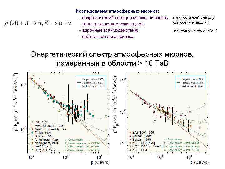 Исследования атмосферных мюонов: - энергетический спектр и массовый состав первичных космических лучей; - адронные