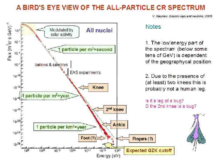 V. Naumov, Cosmic rays and neutrino, 2005 