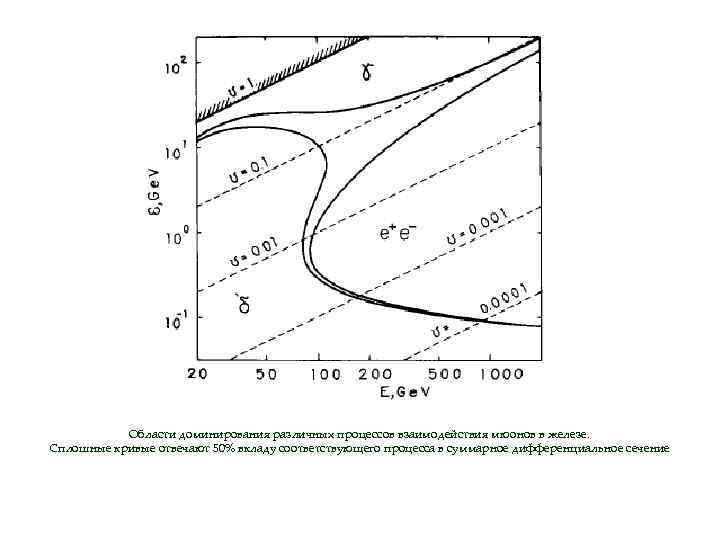 Области доминирования различных процессов взаимодействия мюонов в железе. Сплошные кривые отвечают 50% вкладу соответствующего