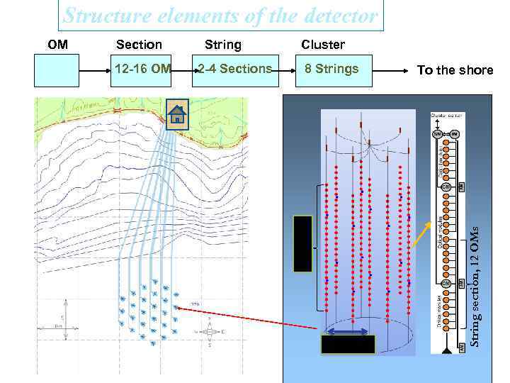 Structure elements of the detector 12 -16 OM String 2 -4 Sections Cluster 8