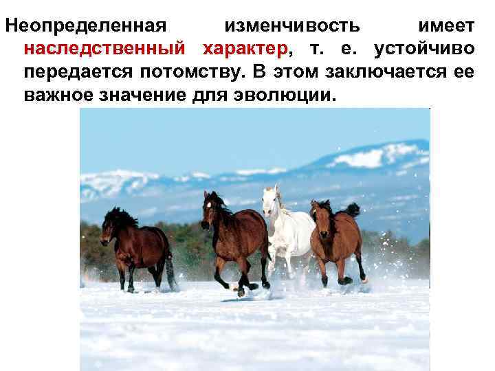 Неопределенная изменчивость имеет наследственный характер, т. е. устойчиво передается потомству. В этом заключается ее