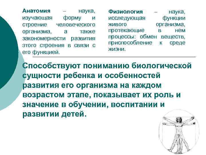 Анатомия – наука, изучающая форму и строение человеческого организма, а также закономерности развития этого