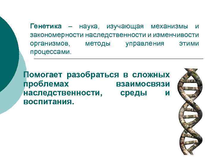 Изучите механизмы. Связь генетики с другими науками схема. Генетика это наука изучающая механизмы. Механизмы изменчивости организмов. Взаимосвязь генетики.