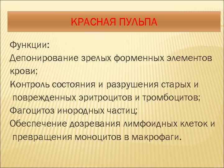 КРАСНАЯ ПУЛЬПА Функции: Депонирование зрелых форменных элементов крови; Контроль состояния и разрушения старых и
