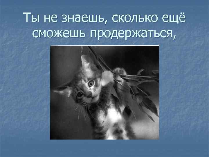 Ты не знаешь, сколько ещё сможешь продержаться, 