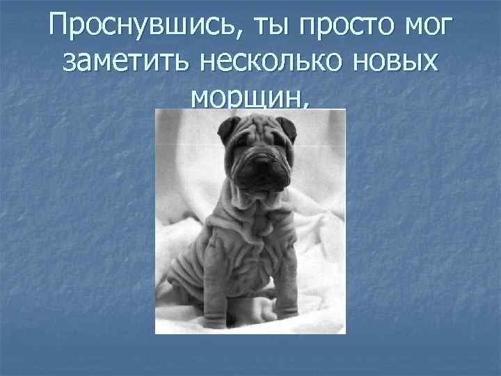Проснувшись, ты просто мог заметить несколько новых морщин, 