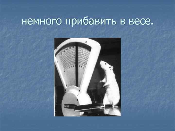 немного прибавить в весе. 