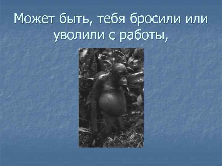 Может быть, тебя бросили уволили с работы, 