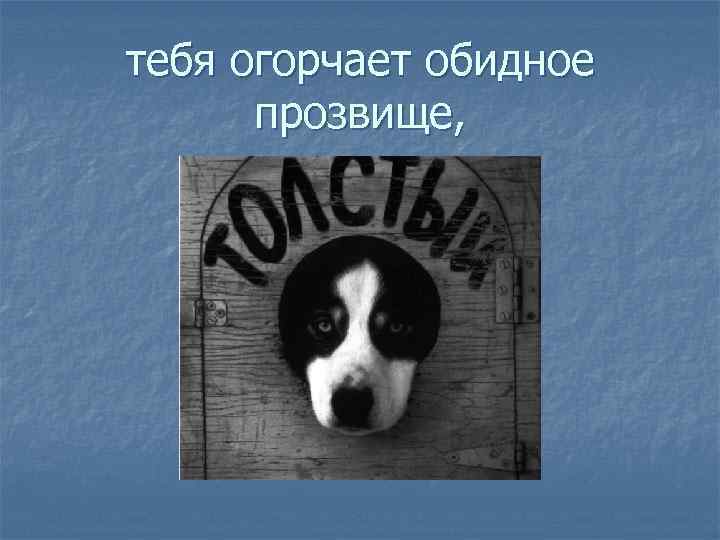 тебя огорчает обидное прозвище, 