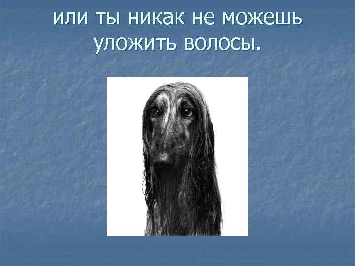 или ты никак не можешь уложить волосы. 