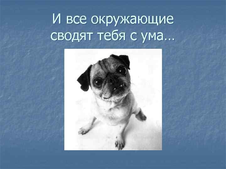 И все окружающие сводят тебя с ума… 