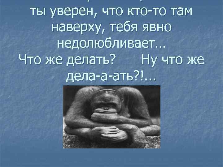 ты уверен, что кто-то там наверху, тебя явно недолюбливает… Что же делать? Ну что
