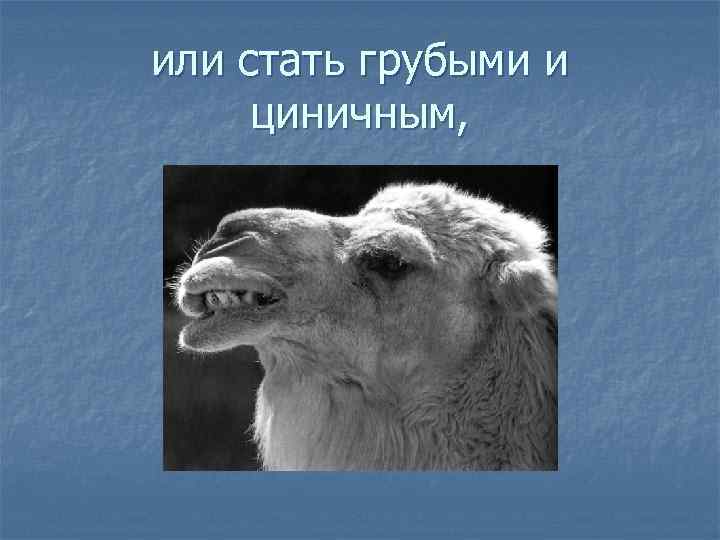 или стать грубыми и циничным, 