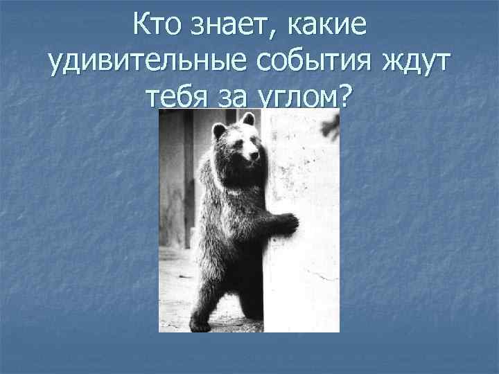 Кто знает, какие удивительные события ждут тебя за углом? 