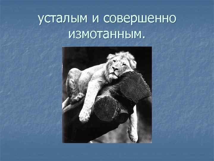 усталым и совершенно измотанным. 