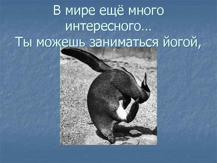 В мире ещё много интересного… Ты можешь заниматься йогой, 