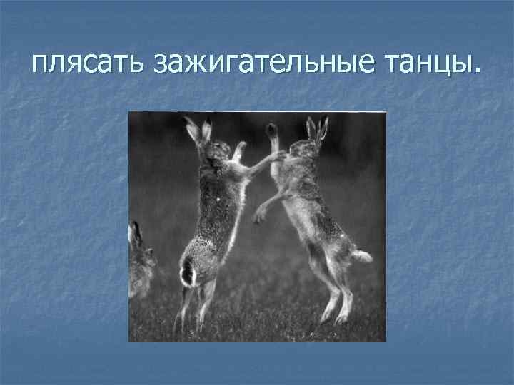 плясать зажигательные танцы. 