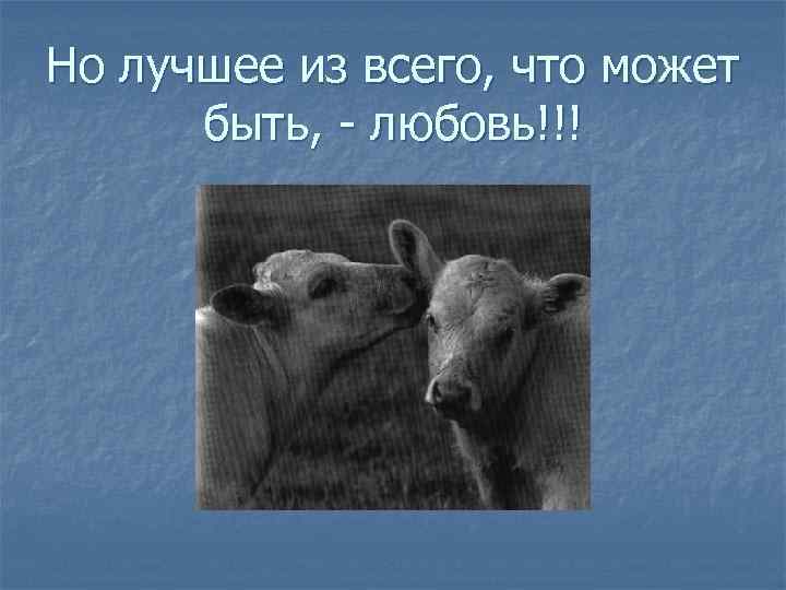 Но лучшее из всего, что может быть, - любовь!!! 