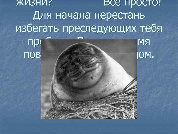 жизни? Всё просто! Для начала перестань избегать преследующих тебя проблем. Пришло время повернуться к