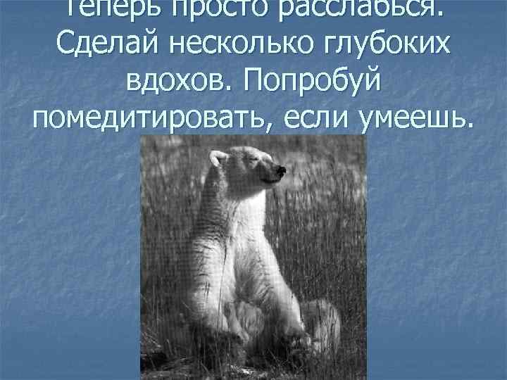 Теперь просто расслабься. Сделай несколько глубоких вдохов. Попробуй помедитировать, если умеешь. 