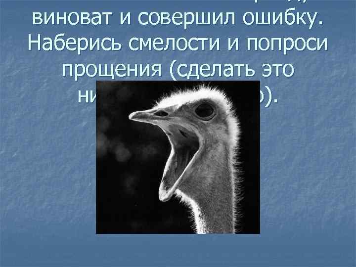 виноват и совершил ошибку. Наберись смелости и попроси прощения (сделать это никогда не поздно).