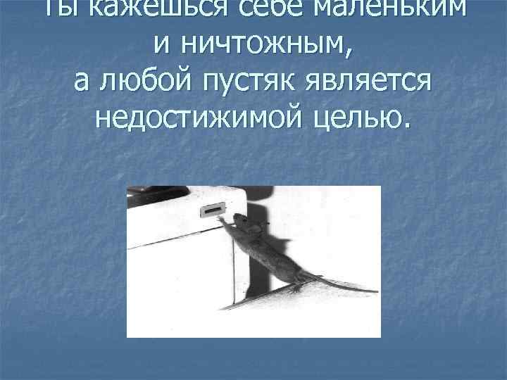 Ты кажешься себе маленьким и ничтожным, а любой пустяк является недостижимой целью. 