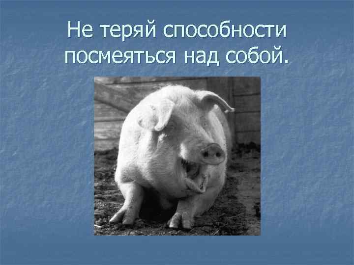 Не теряй способности посмеяться над собой. 