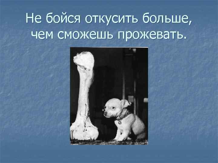 Не бойся откусить больше, чем сможешь прожевать. 